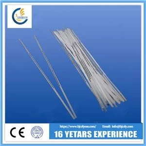 רצועת EM של ספריה